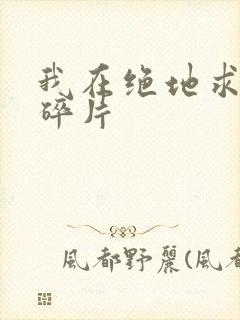 我在绝地求生捡碎片