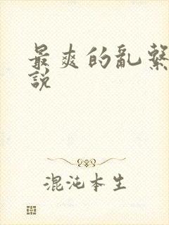 最爽的乱系列小说