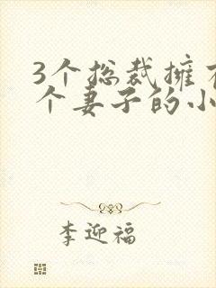 3个总裁拥有一个妻子的小说封面