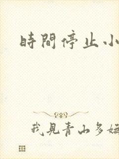时间停止小说