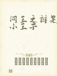 网王之谁是我的小王子