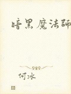 暗黑魔法师封面