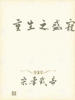 重生之盛宠封面