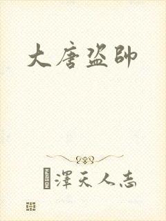 大唐盗帅封面