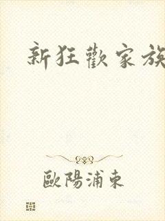 新狂欢家族小说