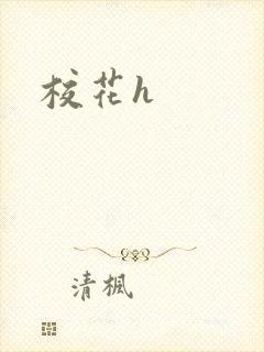校花h封面