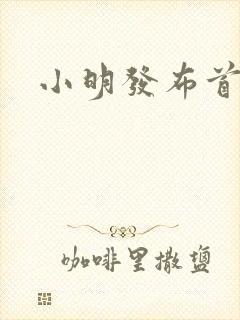 小明发布首页