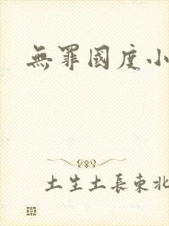 无罪国度小说封面