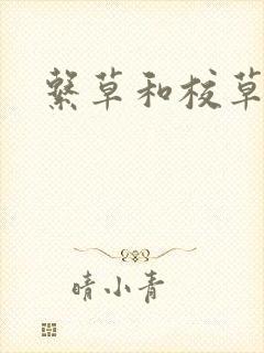 系草和校草