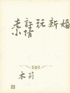 老许玩新婚少妇小倩封面
