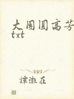 大团圆高芳小说txt