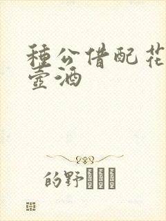 种公借配花间一壶酒封面