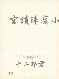 宫锁珠帘小说