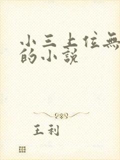 小三上位无三观的小说