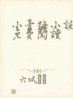 小青梅小说全文免费阅读