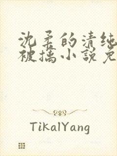 沈柔的清纯校花被擒小说免费阅读