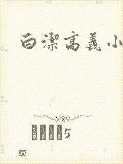 白洁高义小说封面