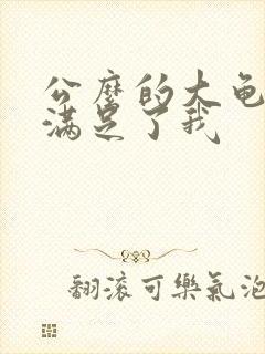 公么的大龟强大满足了我