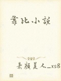 靠比小说