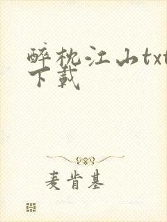 醉枕江山txt下载封面