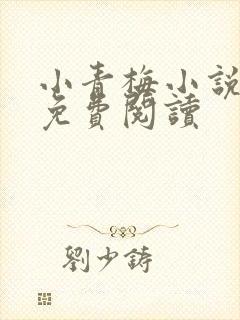 小青梅小说全文免费阅读