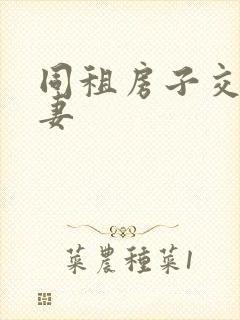 同租房子交换夫妻