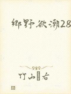 乡野欲潮28章