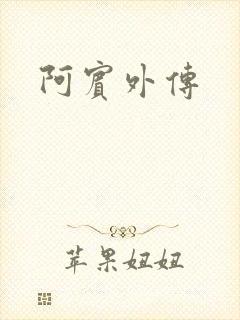 阿宾外传封面