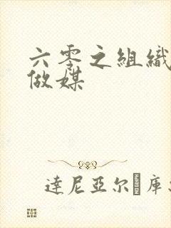 六零之组织给我做媒