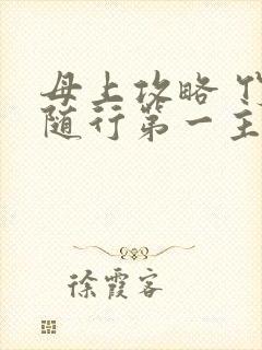 母上攻略 竹影随行第一主板