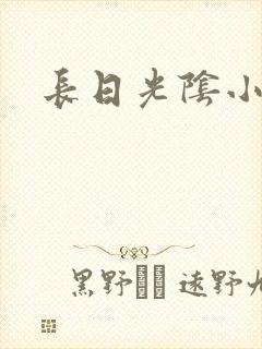 长日光阴小说