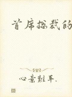 首席总裁的逃妻封面