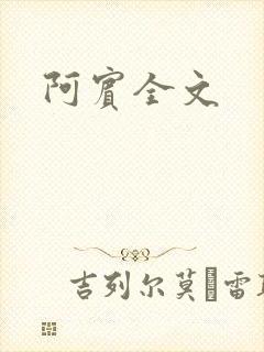 阿宾全文
