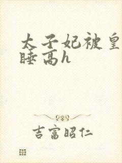 太子妃被皇上强睡高h