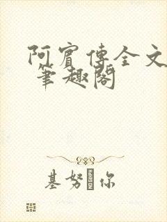 阿宾传全文阅读 笔趣阁