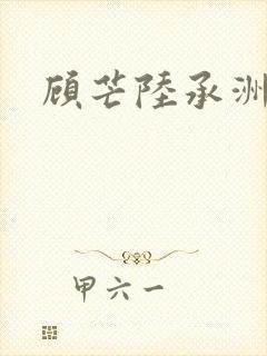 顾芒陆承洲