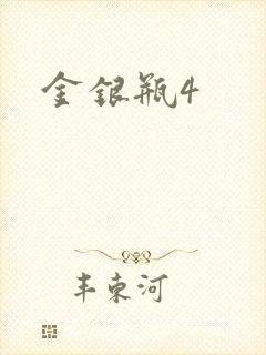 金银瓶4封面