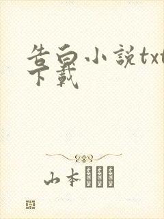 告白小说txt下载