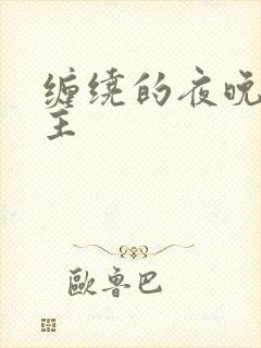 缠绕的夜晚双男主