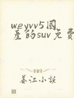 weyvv5国产的suv免费