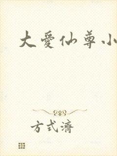 大爱仙尊小说