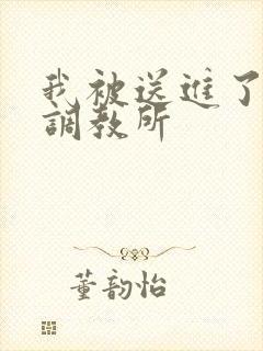 我被送进了私奴调教所封面