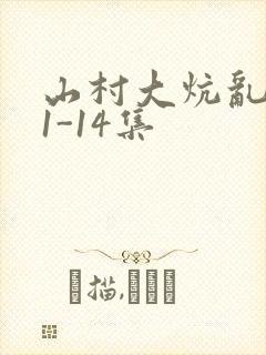 山村大炕乱肉续1-14集封面