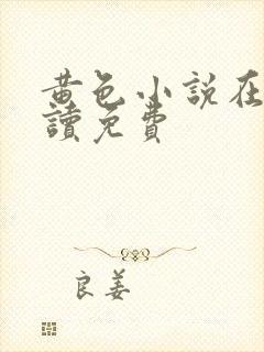 黄色小说在线阅读免费