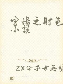 官场之财色诱人小说
