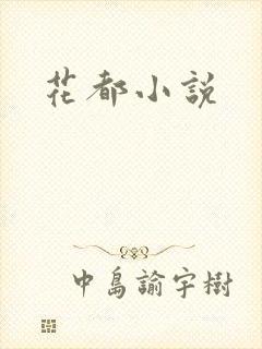花都小说封面