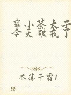 宁小茶太子殿下今天破戒了吗免费阅读