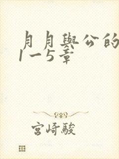 月月与公的激情1一5章