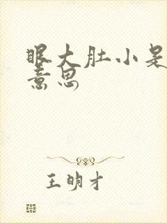眼大肚小是什么意思