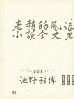 老赵的风流人生小说全文免费阅读